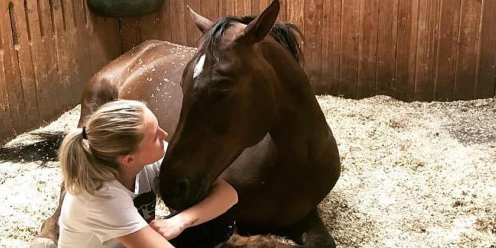 Leistungen_Healthcare